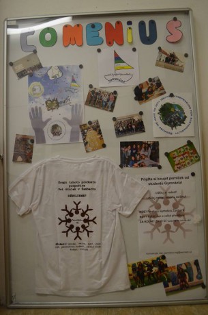 10429017_854757664552805_835019632_n